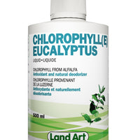 Chlorophyll Eucalyptus