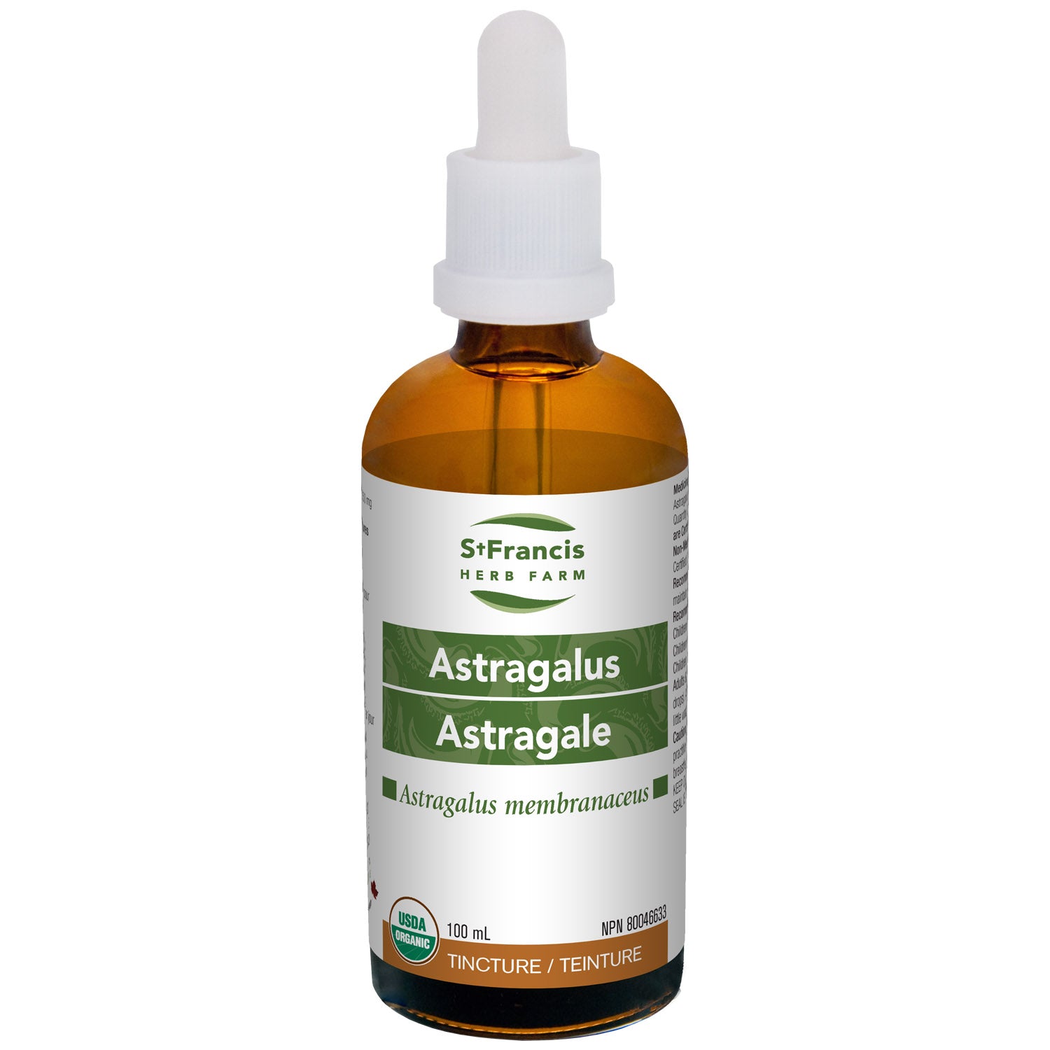 Astragalus