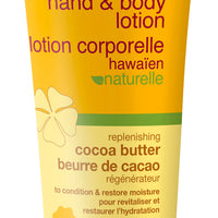Cocoa Butter Hand & Body Lotion