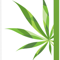 CannaCell Hydrating Toner