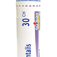 Thuya Occidentalis 30ch