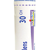 Ruta Graveolens 30ch