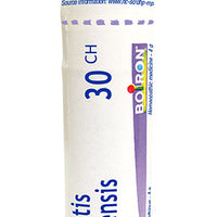 Hydrastis Canadensis 30ch