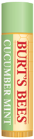 Cucumber Mint Lip Balm Tube