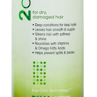 Ultra-Moist Conditioner Value Size