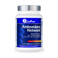 Antioxidant Network