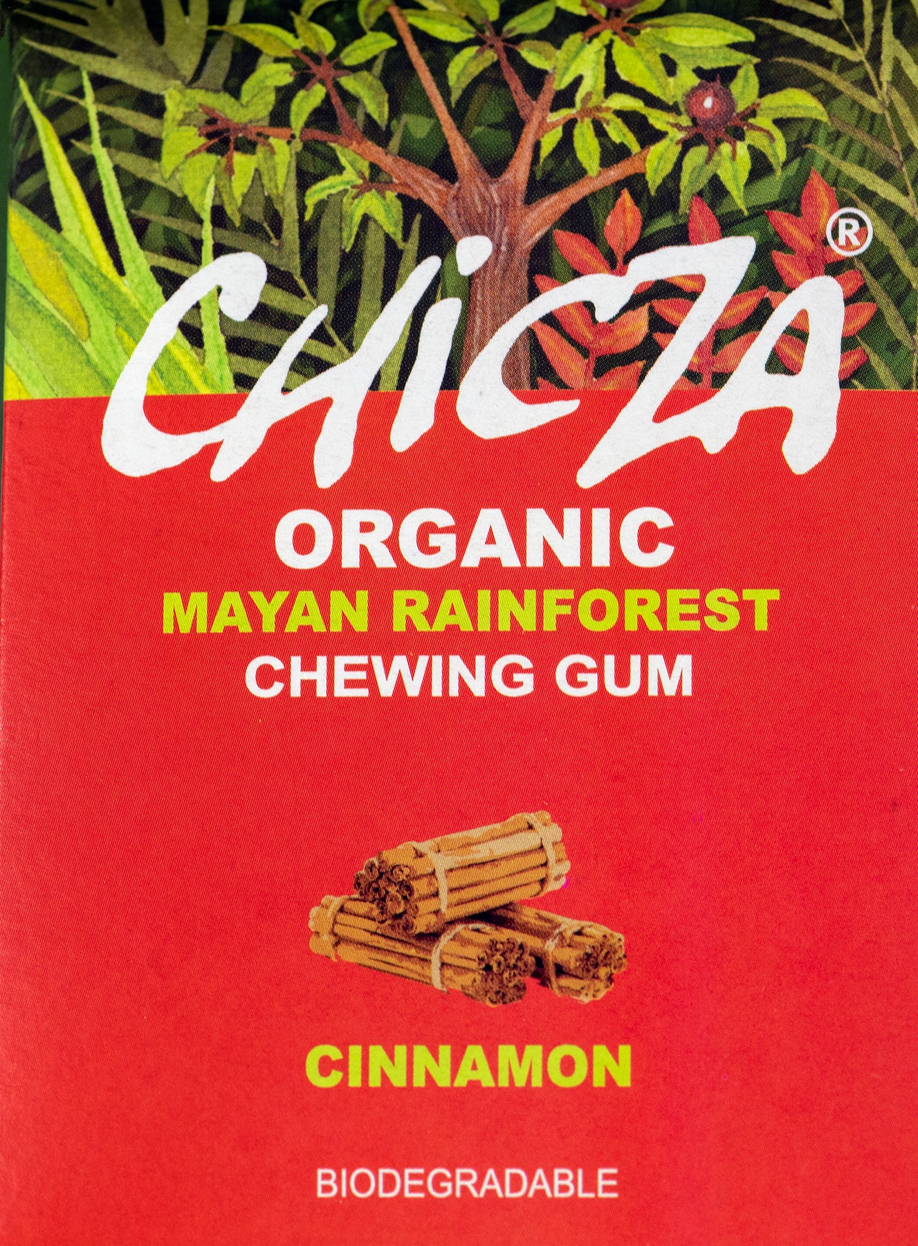 Cinnamon Organic Chewing Gum