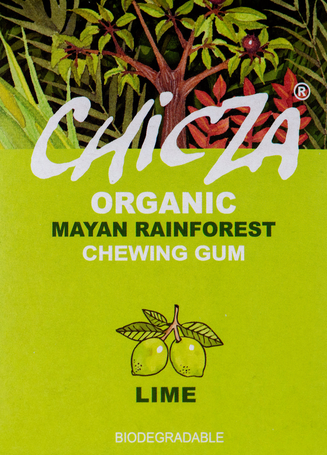 Lime Organic Chewing Gum