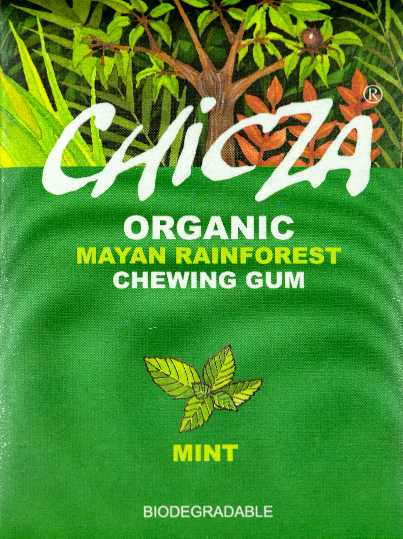 Mint Organic Chewing Gum