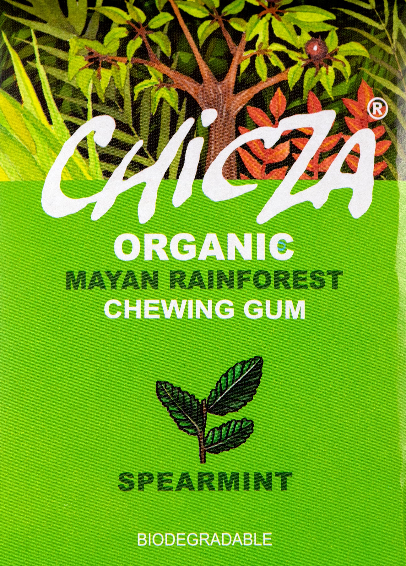 Spearmint Organic Chewing