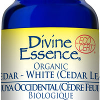 Cedar - White (Cedar leaf) (Org)