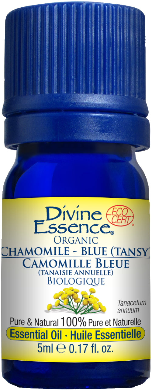 Chamomile - Blue (Tansy) (Org)