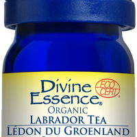 Labrador Tea Organic