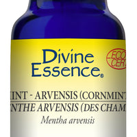 Mint - Arvensis (Cornmint)  (Org)