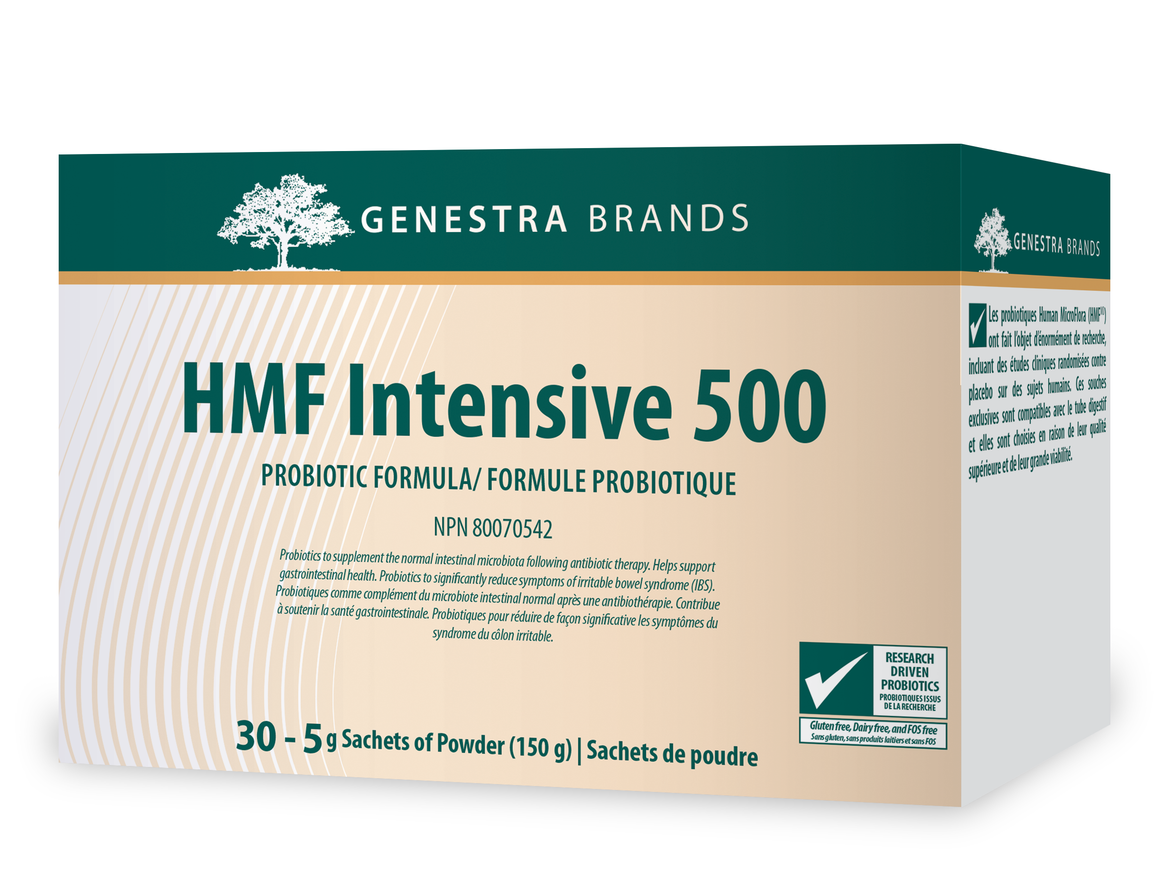 HMF Intensive 500