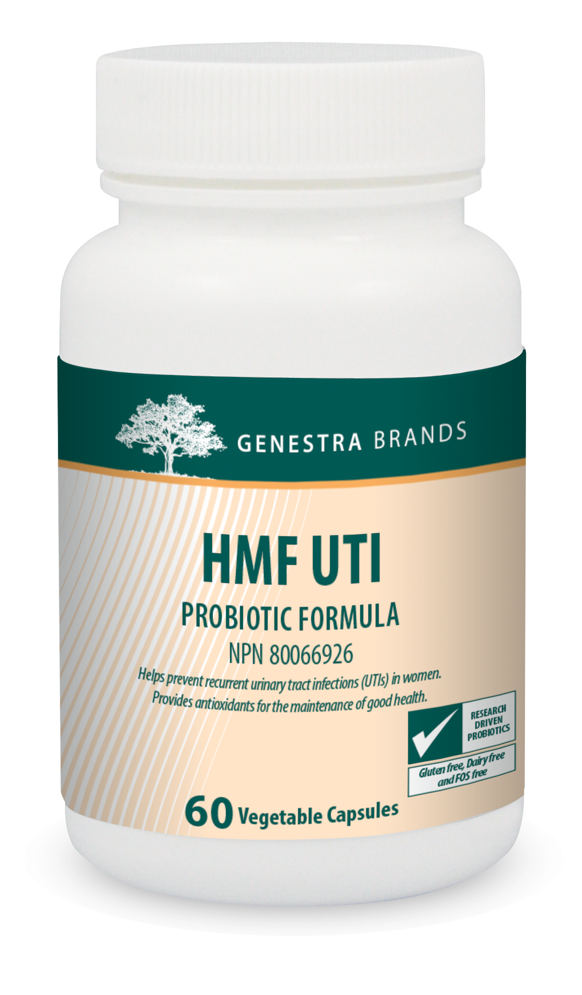 HMF Uti