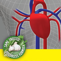 Aged Garlic Extract Liquid