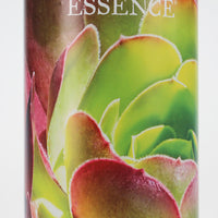 TT Oil Liq Castile Soap Refill