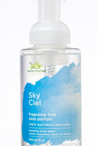 Sky Fragrance Free Foam Hand Wash