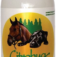 Insect Repellent for Dogs and Horse