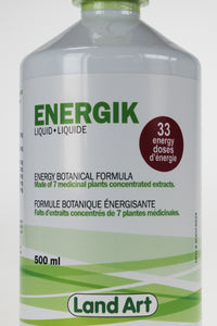 Energik