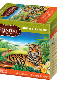 Bengal Spice Herbal Tea 40 Count