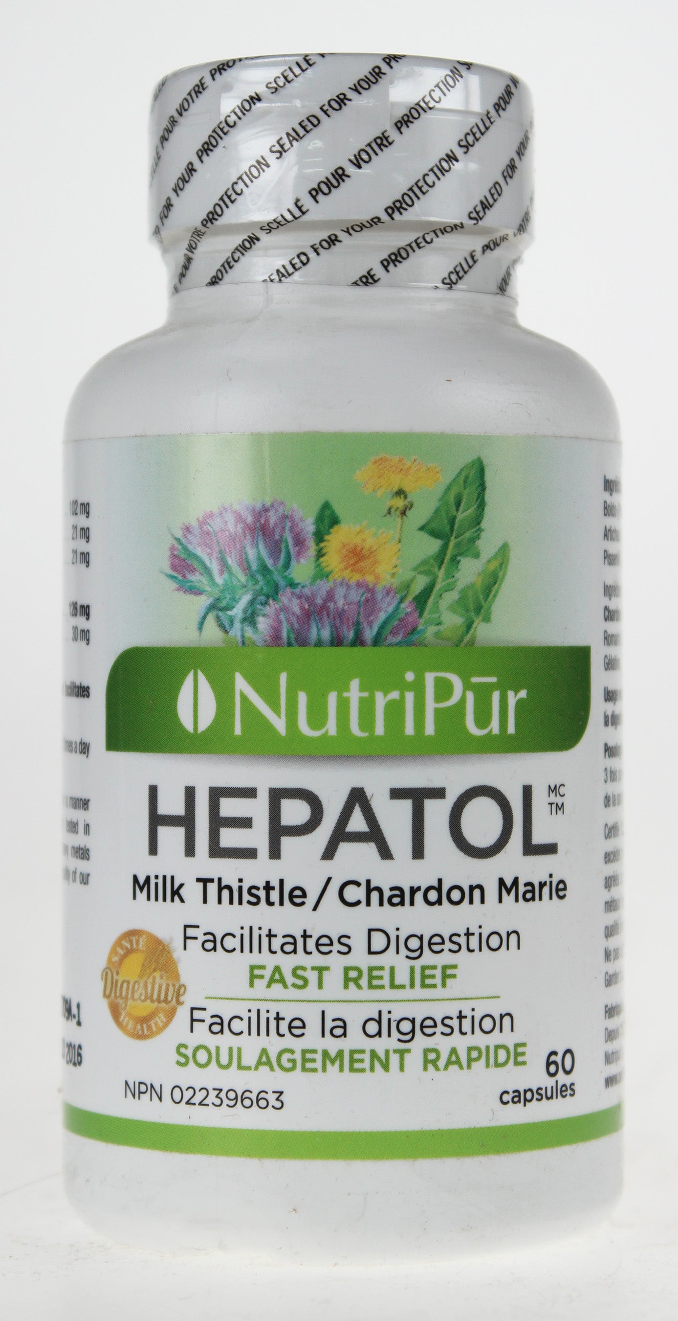Hepatol