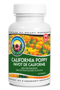 California Poppy