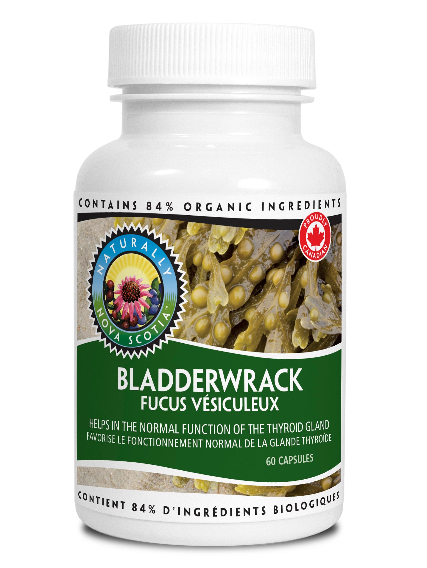 Bladderwrack