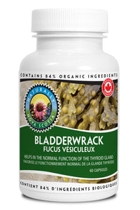 Bladderwrack