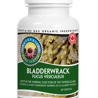 Bladderwrack