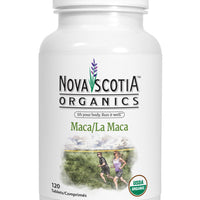 Maca