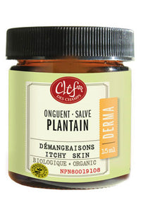 Plantain Salve Organic