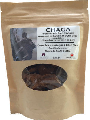 Organic Canadian Chaga Chunks