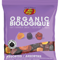 Organic Fruit Flavoured Snack