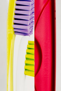 Case, Standard Toothbrush