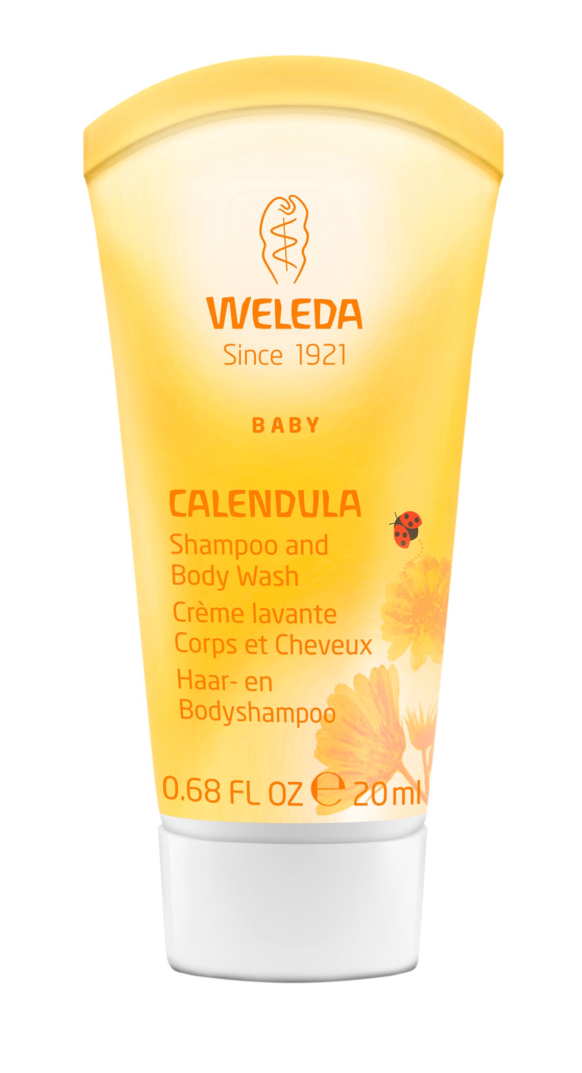 Travel - Calendula Shampoo and Body