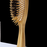 The Fusion Brush