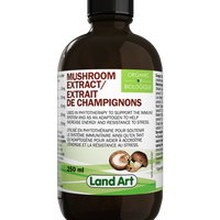 Organic Mushroom Extract