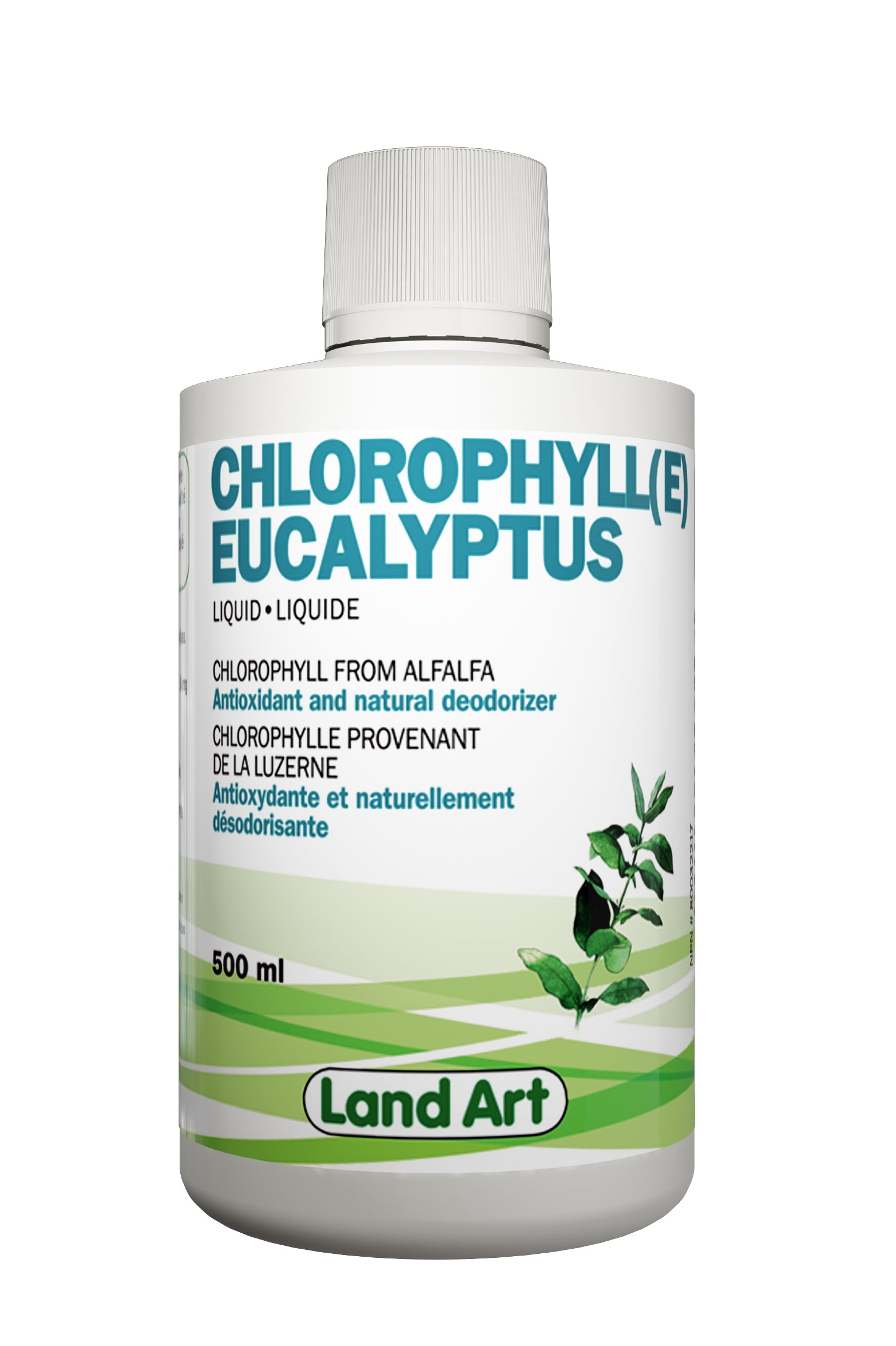 Chlorophyll Conc. 5x Eucalyptus