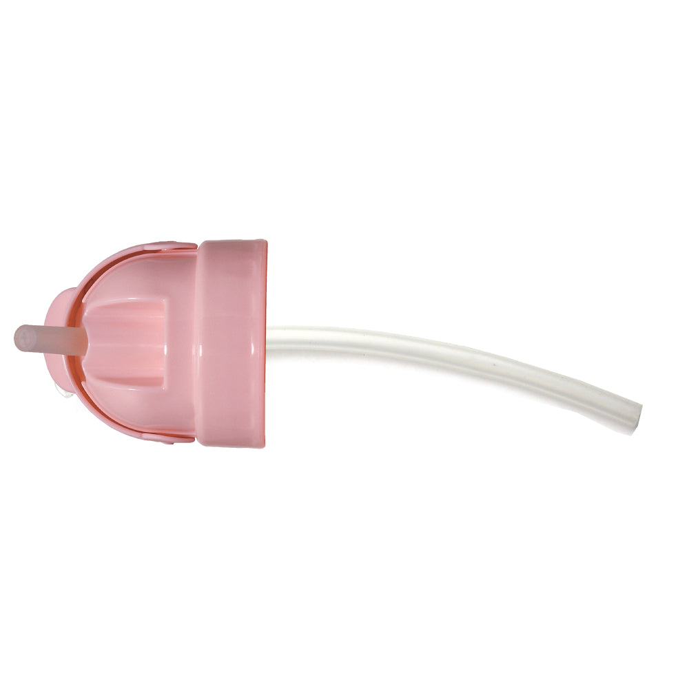 Sippy Cup to Straw Bottle Kit Pink