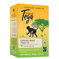 Ginger Mint Herbal Tea