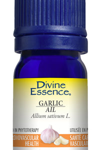 Garlic  (Conventional)