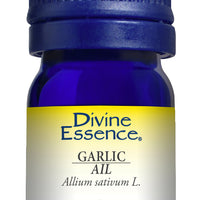 Garlic  (Conventional)