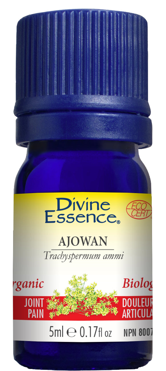 Ajowan (Organic)