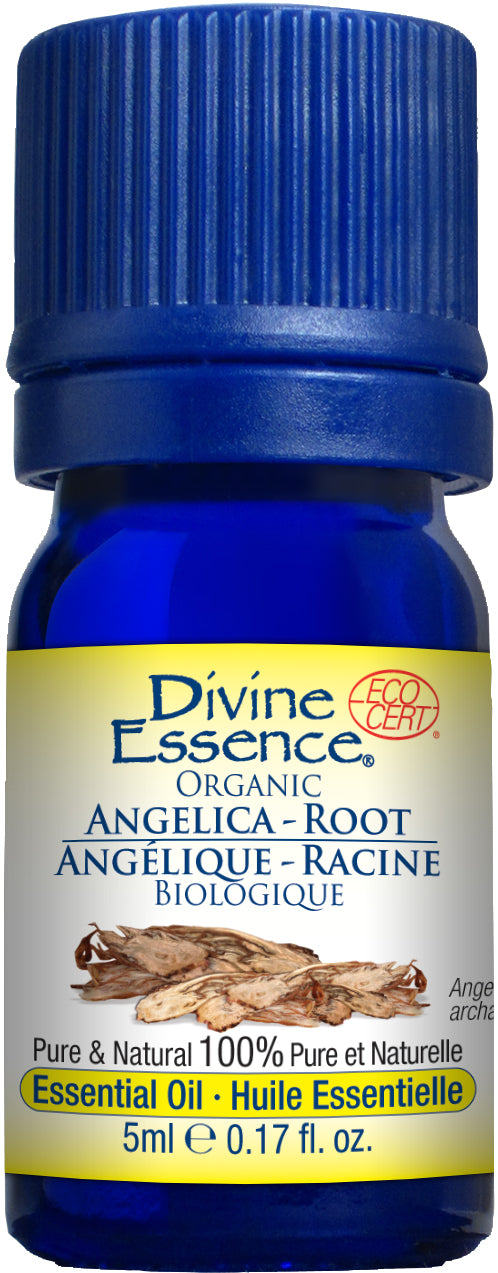 Angelica - Root (Organic)