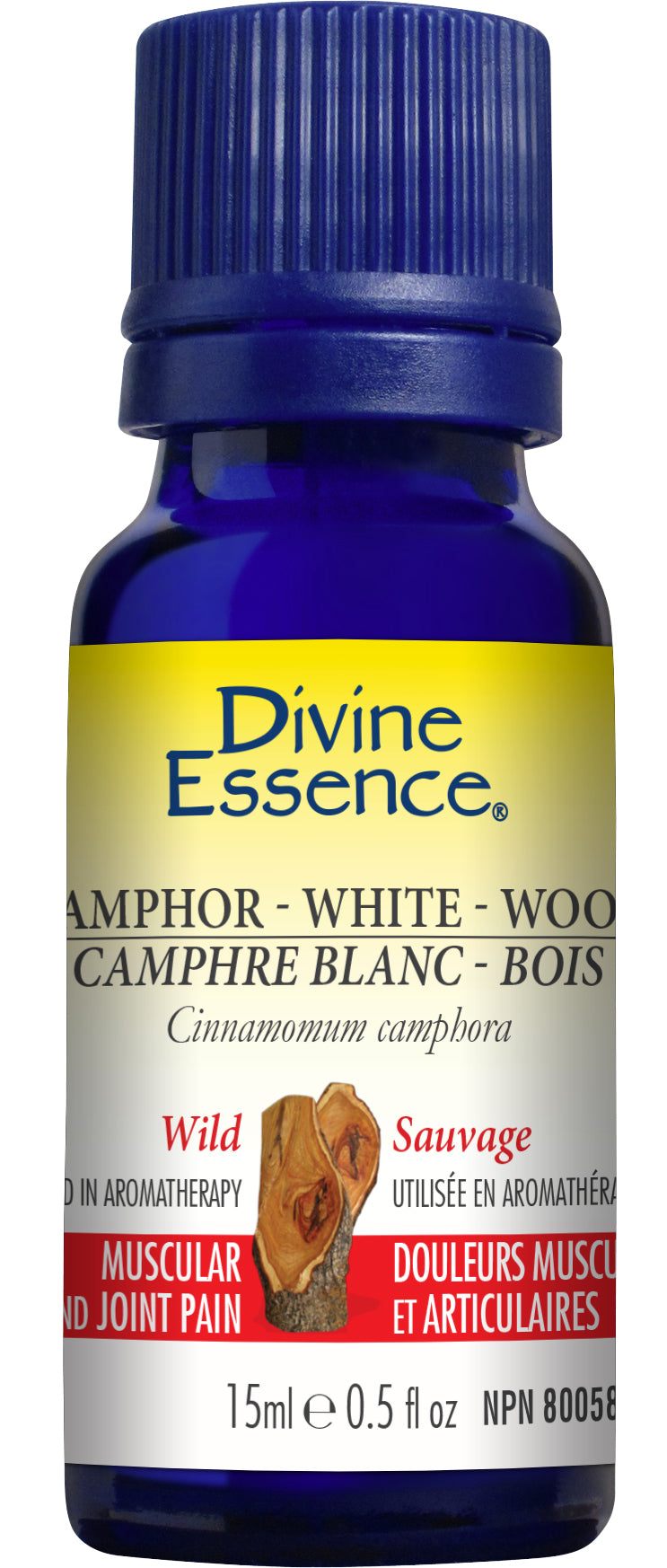 Camphor - White Wood (Wild)