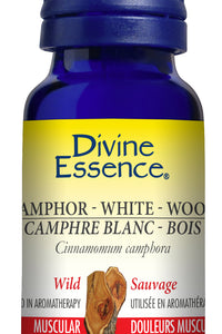 Camphor - White Wood (Wild)