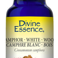 Camphor - White Wood (Wild)