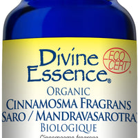 Cinnamosma Fragrans (Saro) (Conv.)